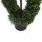 5ft. Green Boxwood Double Spiral Topiary Tree